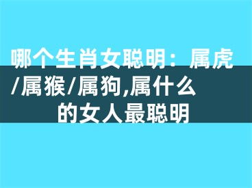 哪个生肖女聪明：属虎/属猴/属狗,属什么的女人最聪明