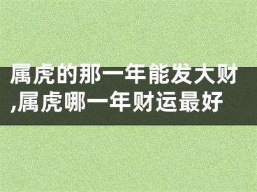 属虎的那一年能发大财,属虎哪一年财运最好