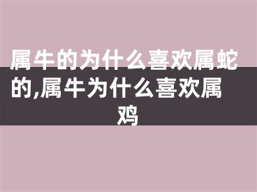 属牛的为什么喜欢属蛇的,属牛为什么喜欢属鸡