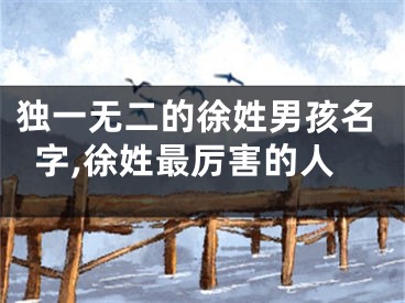 独一无二的徐姓男孩名字,徐姓最厉害的人