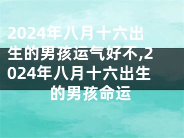 2024年八月十六出生的男孩运气好不,2024年八月十六出生的男孩命运