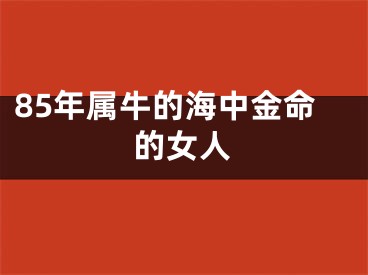 85年属牛的海中金命的女人