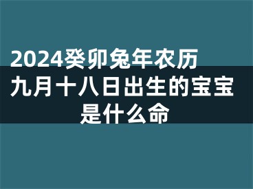2024癸卯兔年农历九月十八日出生的宝宝是什么命