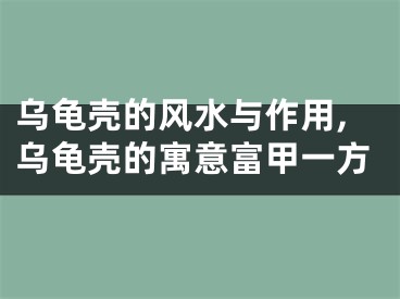 乌龟壳的风水与作用,乌龟壳的寓意富甲一方