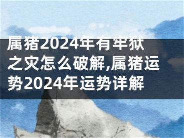 属猪2024年有牢狱之灾怎么破解,属猪运势2024年运势详解