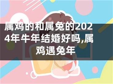 属鸡的和属兔的2024年牛年结婚好吗,属鸡遇兔年