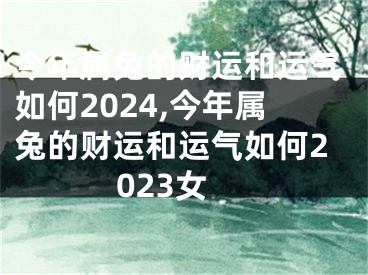 今年属兔的财运和运气如何2024,今年属兔的财运和运气如何2023女