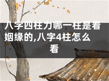 八字四柱力哪一柱是看姻缘的,八字4柱怎么看