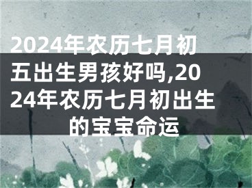 2024年农历七月初五出生男孩好吗,2024年农历七月初出生的宝宝命运