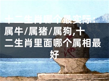十二生肖哪个最实际：属牛/属猪/属狗,十二生肖里面哪个属相最好