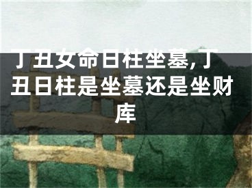 丁丑女命日柱坐墓,丁丑日柱是坐墓还是坐财库