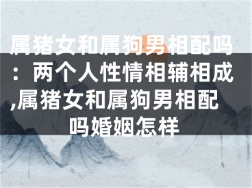 属猪女和属狗男相配吗：两个人性情相辅相成,属猪女和属狗男相配吗婚姻怎样
