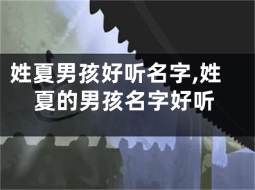 姓夏男孩好听名字,姓夏的男孩名字好听