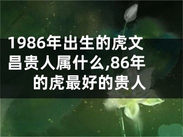 1986年出生的虎文昌贵人属什么,86年的虎最好的贵人