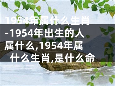 1954年属什么生肖-1954年出生的人属什么,1954年属什么生肖,是什么命