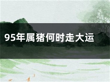 95年属猪何时走大运
