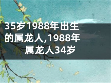 35岁1988年出生的属龙人,1988年属龙人34岁