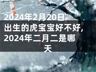 2024年2月20日出生的虎宝宝好不好,2024年二月二是哪天