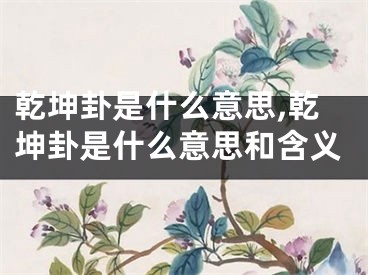 乾坤卦是什么意思,乾坤卦是什么意思和含义