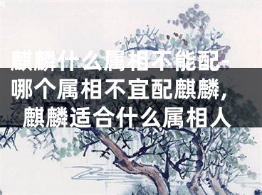 麒麟什么属相不能配-哪个属相不宜配麒麟,麒麟适合什么属相人