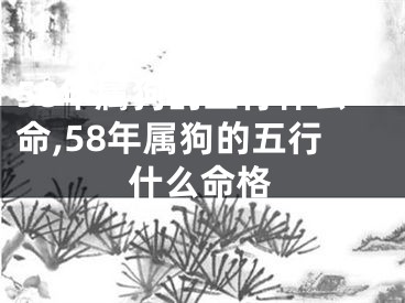 58年属狗的五行什么命,58年属狗的五行什么命格
