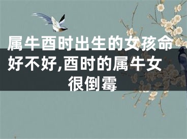属牛酉时出生的女孩命好不好,酉时的属牛女很倒霉