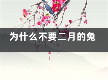 为什么不要二月的兔