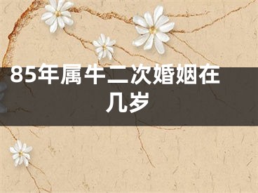 85年属牛二次婚姻在几岁