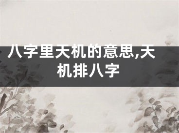 八字里天机的意思,天机排八字