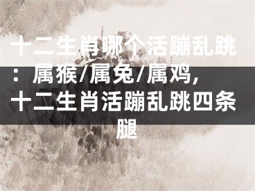 十二生肖哪个活蹦乱跳：属猴/属兔/属鸡,十二生肖活蹦乱跳四条腿