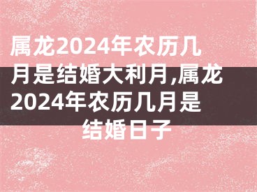 属龙2024年农历几月是结婚大利月,属龙2024年农历几月是结婚日子