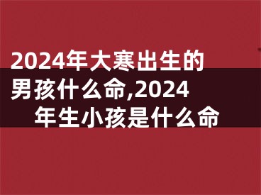 2024年大寒出生的男孩什么命,2024年生小孩是什么命