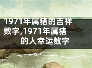 1971年属猪的吉祥数字,1971年属猪的人幸运数字