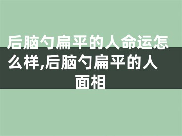 后脑勺扁平的人命运怎么样,后脑勺扁平的人面相