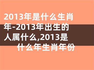 2013年是什么生肖年-2013年出生的人属什么,2013是什么年生肖年份