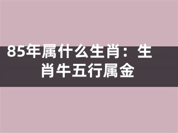 85年属什么生肖：生肖牛五行属金