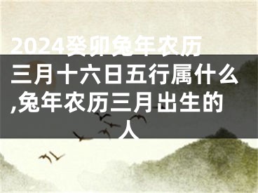 2024癸卯兔年农历三月十六日五行属什么,兔年农历三月出生的人