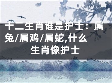 十二生肖谁是护士：属兔/属鸡/属蛇,什么生肖像护士