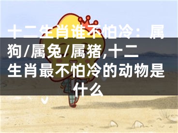 十二生肖谁不怕冷：属狗/属兔/属猪,十二生肖最不怕冷的动物是什么