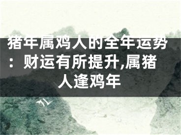 猪年属鸡人的全年运势：财运有所提升,属猪人逢鸡年