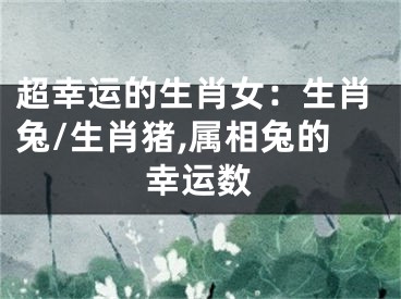 超幸运的生肖女：生肖兔/生肖猪,属相兔的幸运数