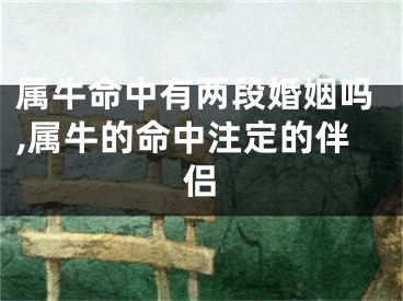 属牛命中有两段婚姻吗,属牛的命中注定的伴侣