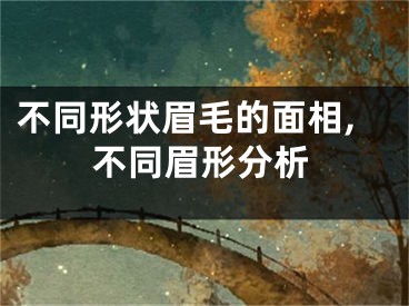 不同形状眉毛的面相,不同眉形分析
