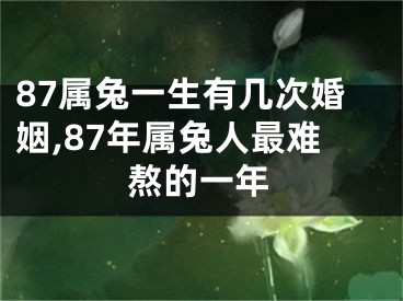 87属兔一生有几次婚姻,87年属兔人最难熬的一年