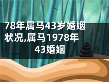 78年属马43岁婚姻状况,属马1978年43婚姻