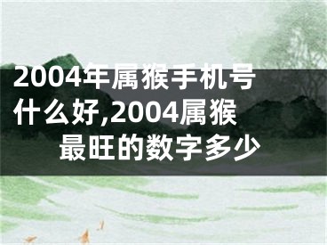 2004年属猴手机号什么好,2004属猴最旺的数字多少