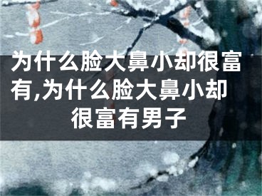 为什么脸大鼻小却很富有,为什么脸大鼻小却很富有男子