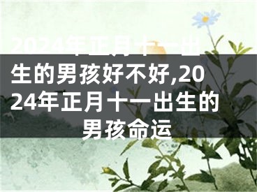 2024年正月十一出生的男孩好不好,2024年正月十一出生的男孩命运