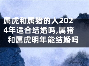 属虎和属猪的人2024年适合结婚吗,属猪和属虎明年能结婚吗