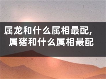 属龙和什么属相最配,属猪和什么属相最配